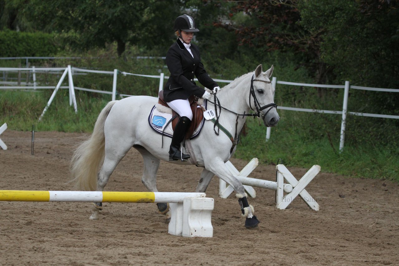 Bild 1235 - WBO-Turnier am 18.9.11